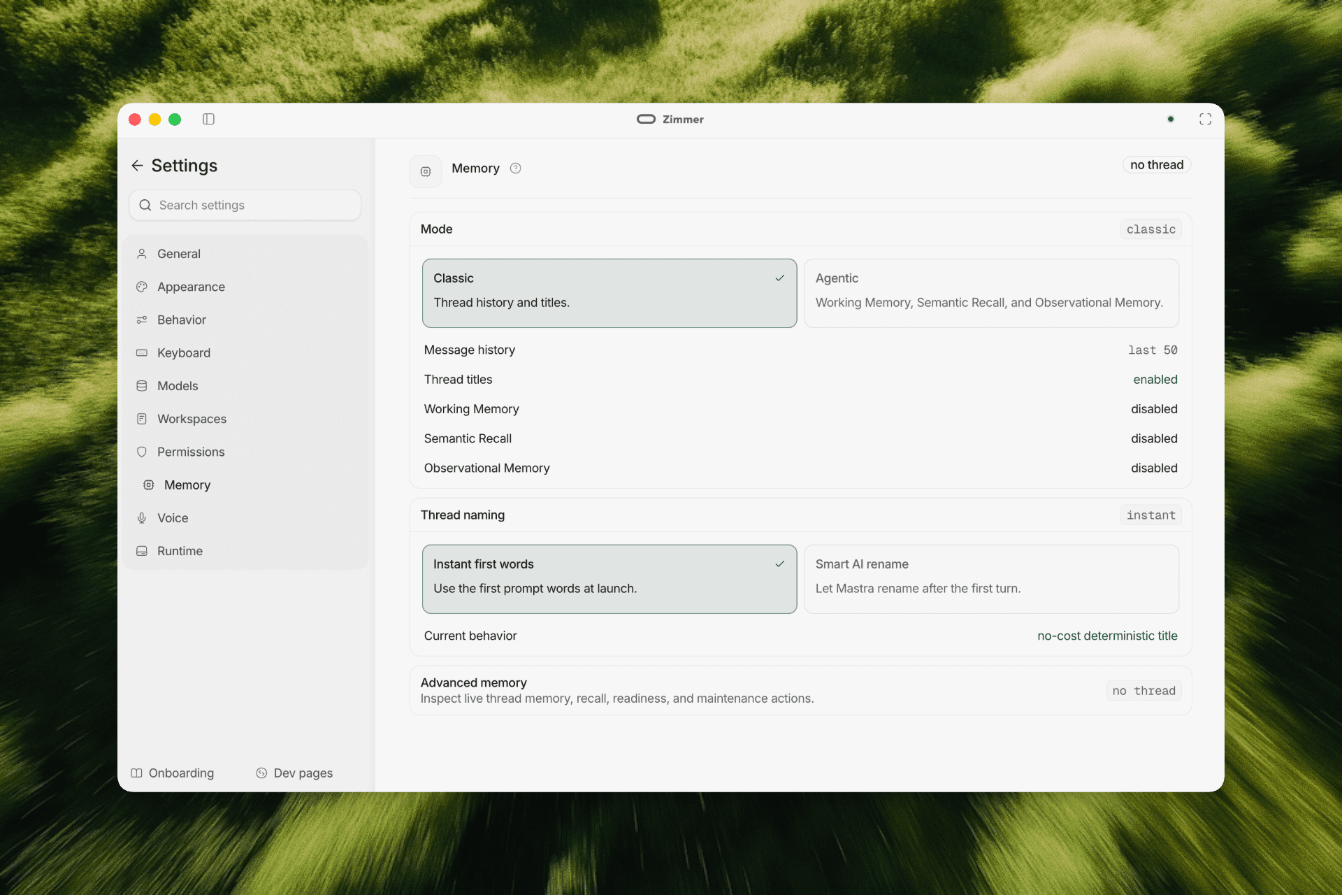 Zimmer memory settings shown with synthetic workspace data